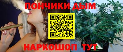 гидра Будённовск