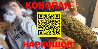 гидра Будённовск