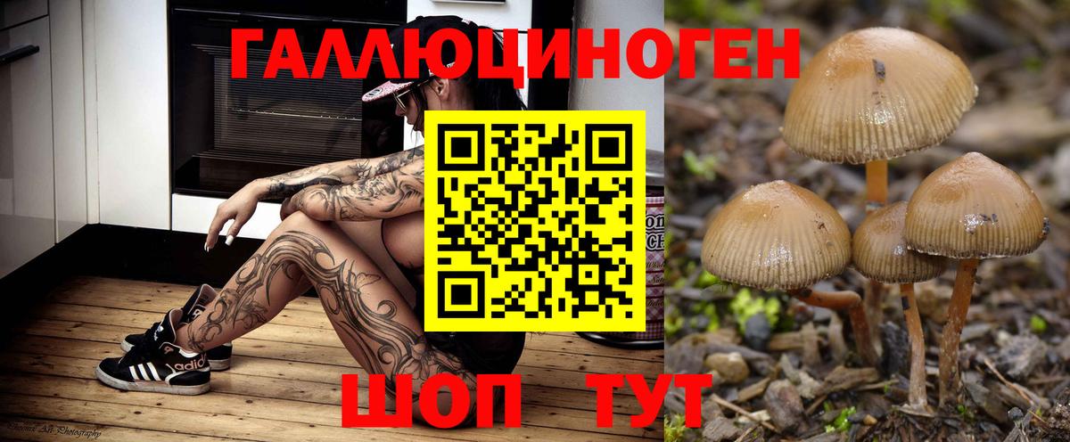Псилоцибиновые грибы GOLDEN TEACHER  Вход с VPN  Узловая 