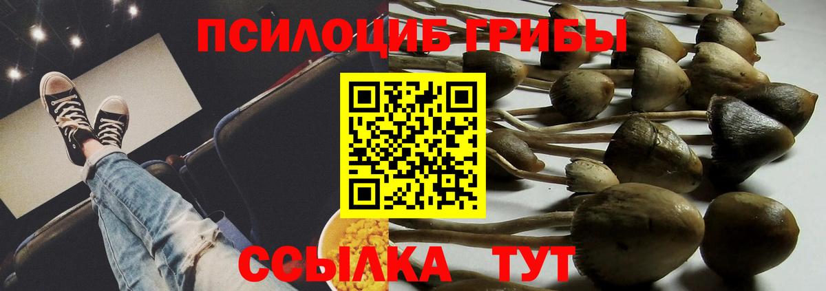 Галлюциногенные грибы Psilocybine cubensis Узловая